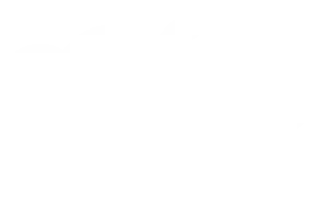 Simpel Subsidie logo